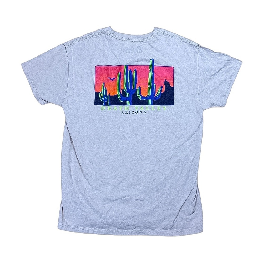 Bowery Supply Co Graphic T-Shirt Mens M Tan Excellent Death Valley Arizona Tee - Picture 2 of 5